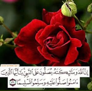 Meet your Posher, Sahar